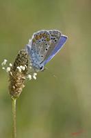 Cjp_2008_07_13_152928 (2).jpg